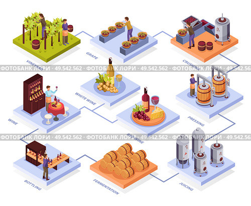 Wine production flowchart with pressing and fermentation symbols isometric  vector illustration. Стоковая иллюстрация, агентство Ingram Publishing / Фотобанк Лори