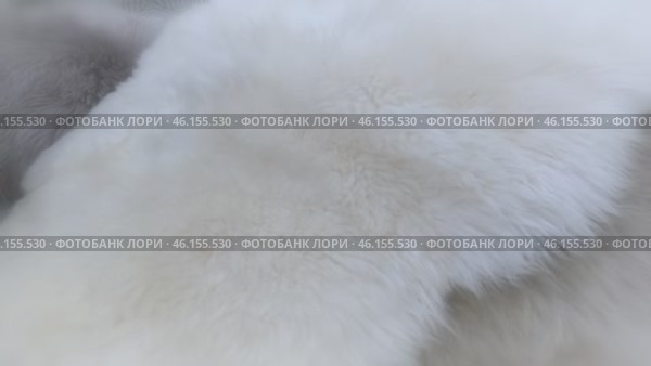 Woman carefully examines artificial fur skin in carpet store. She runs her hand along soft pile, evaluating his tactile properties and appearance. Around it, variety of carpet models that. Стоковое видео, видеограф Скрипачев Антон / Фотобанк Лори