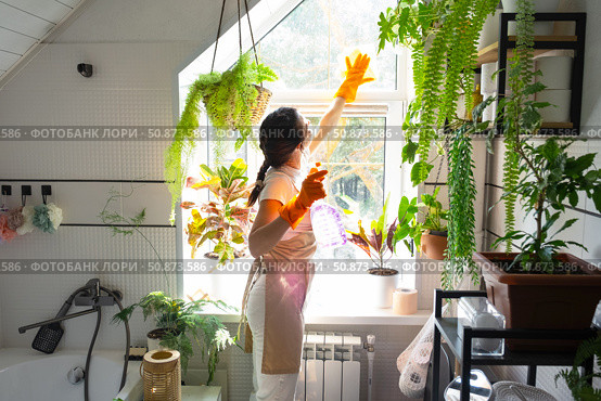 Woman in rubber gloves and apron manually washes window of house in bathroom with rag cleaner and mop inside interior with home plants. Restoring order and cleanliness, cleaning servise. Стоковое фото, фотограф Ольга Симонова / Фотобанк Лори