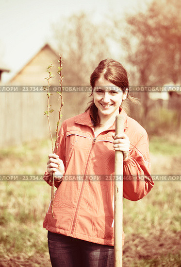 woman resetting raspberry sprouts. Стоковое фото, фотограф Яков Филимонов / Фотобанк Лори