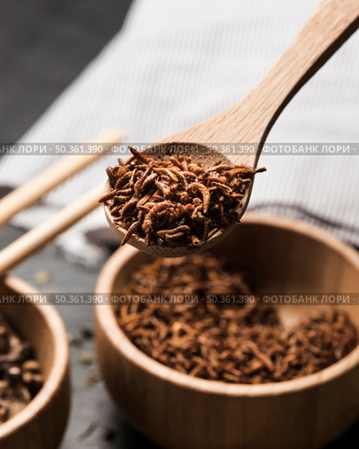 wooden spoon full with fried insects. Стоковое фото, агентство Ingram Publishing / Фотобанк Лори