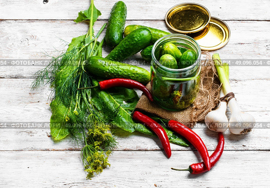 yield of cucumber,pepper,spices and fennel for pickling. Стоковое фото, агентство Ingram Publishing / Фотобанк Лори