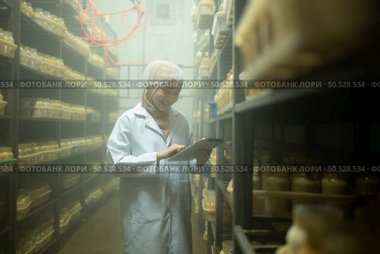 Young asian muslim female scientist doing research at a mushroom factory, examining mushroom leavening agent in a sterile and temperature-controlled room. Стоковое фото, агентство Ingram Publishing / Фотобанк Лори