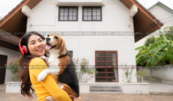 Young Asian woman holding up beagle dog after running around the house with the owner until exhausted and tired. Стоковое фото, агентство Ingram Publishing / Фотобанк Лори
