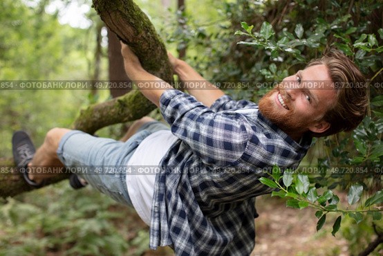 young man clinging to the branch of a tree. Стоковое фото, агентство Ingram Publishing / Фотобанк Лори