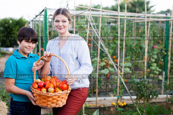 Young woman gardener with small boy holding basket with tomatoes. Стоковое фото, фотограф Яков Филимонов / Фотобанк Лори