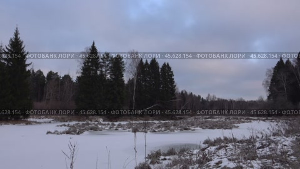 Замёрзшее болото. Зима в лесу. Лосиный остров. Подмосковье. Декабрь. Frozen swamp. Winter in the forest. Moscow region. December. Стоковое видео, видеограф Горшков Александр / Фотобанк Лори