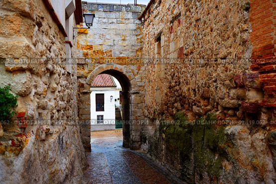 Zamora door of Dona Urraca in Spain by the via de la Plata way of Saint James. Стоковое фото, агентство Ingram Publishing / Фотобанк Лори
