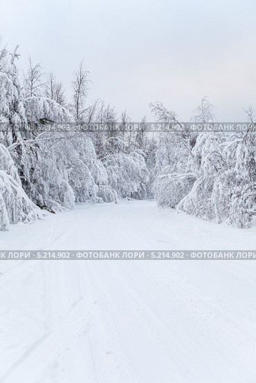 Занесенная снегом проселочная дорога в лесах Карелии. Стоковое фото, фотограф Кекяляйнен Андрей / Фотобанк Лори