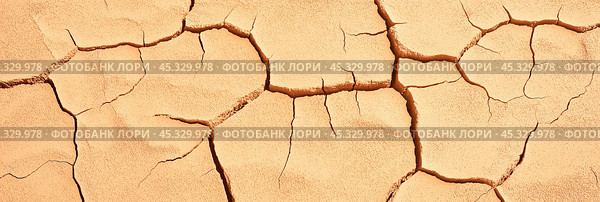 Засушливый ландшафт: панорамная текстура потрескавшейся грязи для экологических концепций. Стоковое AI-изображение, AI-художник ФотоИнтеллект / Фотобанк Лори
