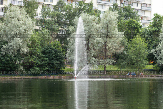 Зеленоград. Быково болото (2019 год). Стоковое фото, фотограф Evgenia Shevardina / Фотобанк Лори
