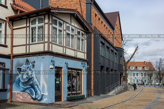 Zelenogradsk, Kaliningrad region, Russia - april 04 2022: An old European house with a large drawing with a blue cat on the wall. Редакционное фото, фотограф Yuriy Savin / Фотобанк Лори
