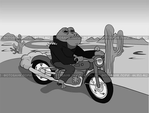 Жаба байкер чб / toad biker bw. Стоковая иллюстрация, иллюстратор Александр Паньков / Фотобанк Лори
