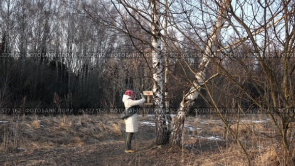 Женщина заполняет лесную кормушку для птиц кормом. Февраль. A woman fills a forest bird feeder with food. February. Стоковое видео, видеограф Горшков Александр / Фотобанк Лори