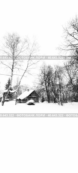 Зима в деревне. Стоковое фото, фотограф Лазарев Артем / Фотобанк Лори