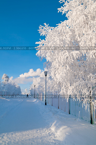 Зимний городской пейзаж (2011 год). Стоковое фото, фотограф Икан Леонид / Фотобанк Лори