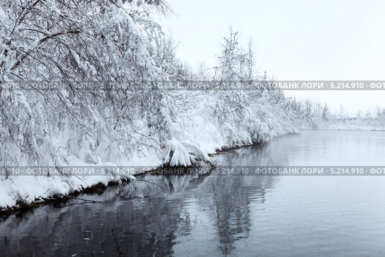 Зимний пейзаж с открытой водой и заснеженным берегом озера. Стоковое фото, фотограф Кекяляйнен Андрей / Фотобанк Лори