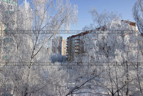 Зимний пейзаж. Вид из окна. Липецк (2024 год). Стоковое фото, фотограф Евгений Будюкин / Фотобанк Лори