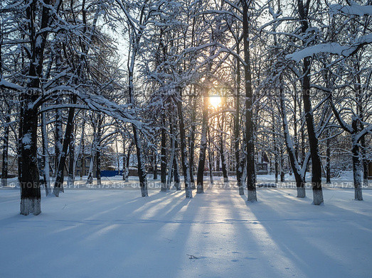 Зимний заснеженный парк, лес. Стоковое фото, фотограф Евгений Горбунов / Фотобанк Лори