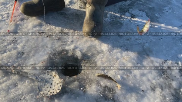 Зимняя рыбалка на озере. Ловля рыбы зимой. Лунка для подледной рыбалки в толстом слое льда и рыболовные снасти. Стоковое видео, видеограф Светлана Акифьева / Фотобанк Лори
