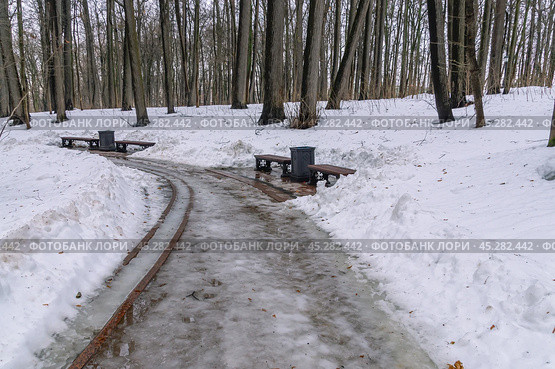 Зимой на дорожках городского парка образуются лужи от растаявшего снега. Заледеневшие дорожки для прогулок в зимнем парке. Зимой деревья стоят без листьев. Парк в Царицыно. Стоковое фото, фотограф Эдуард Белкин / Фотобанк Лори