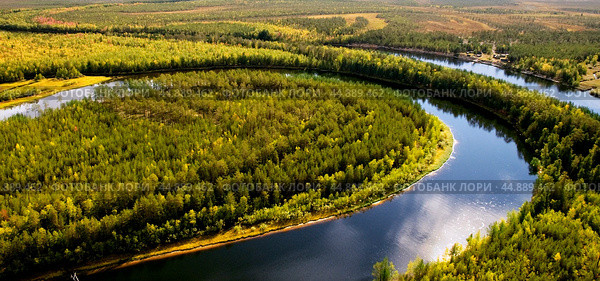 Золотая осень, тайга, река, облачный пейзаж - Западная Сибирь ( Ханты-Мансийский  АО ) Стоковое фото, фотограф Павел Просянов / Фотобанк Лори