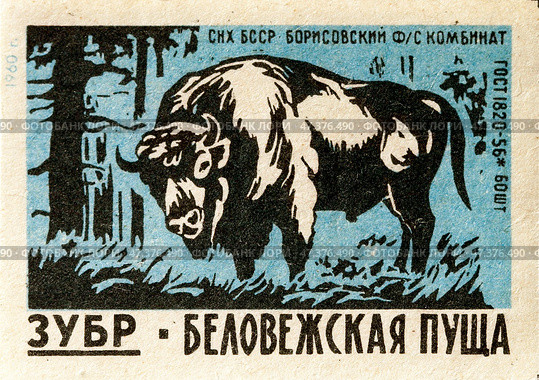 Зубр. Серия: Беловежская пуща. Спичечные этикетки СССР. 1960. Редакционное фото, фотограф Сергей Афанасьев / Фотобанк Лори